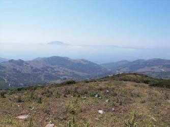 E12 Tarifa 870.jpg