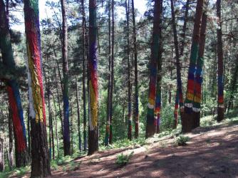E12 Bosque de Oma 086.jpg