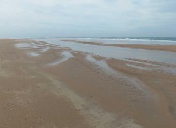 E12 Conil 820.jpg
