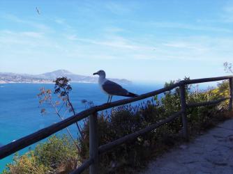 E12 Calpe 1189.jpg