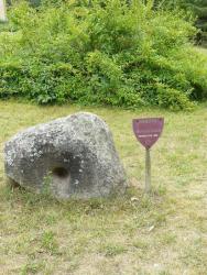 P1020176.JPG