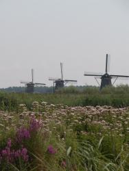 Kinderdijk2.jpg