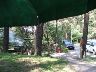 DSCF6476.JPG