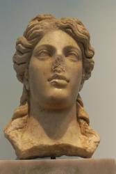TR13 1566.jpg