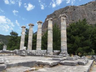 TR13 1492.jpg