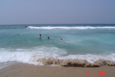 DSC04122.JPG