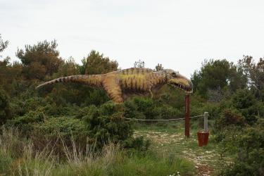 Cro 571.jpg