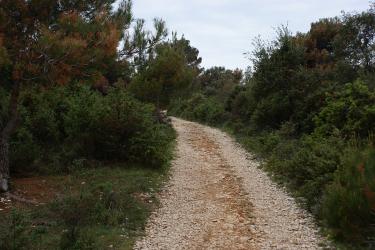 Cro 568.jpg