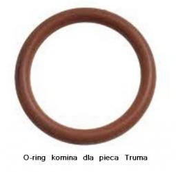 o_ring komina.JPG