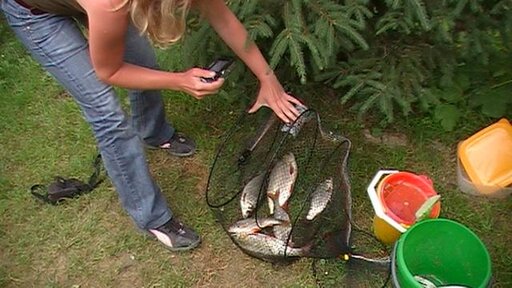 PIC_0082.JPG