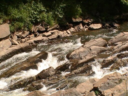 PIC_0127.JPG