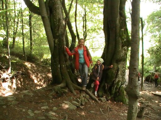 PIC_0121.JPG