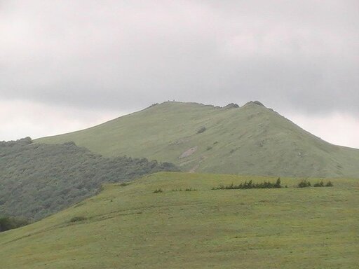 PIC_0119.JPG
