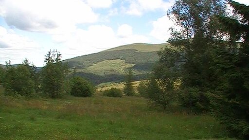PIC_0005.JPG