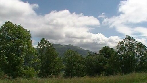 PIC_0116.JPG