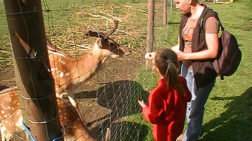 PIC_0104.JPG