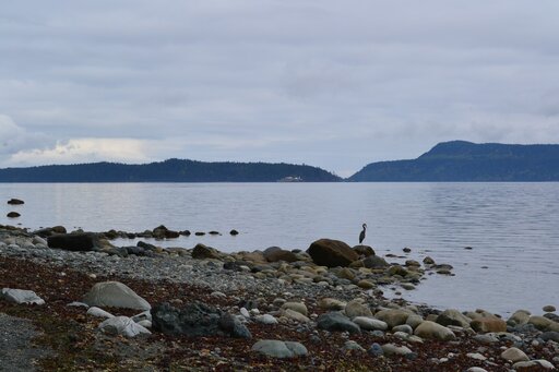 Wybrzeze wyspy Vancouver