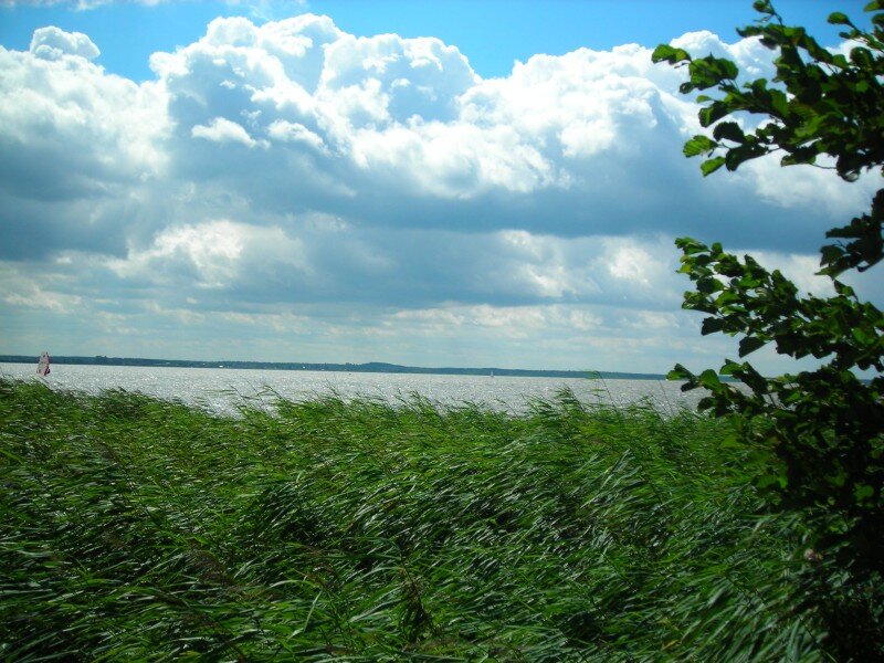 Jezioro Łebskie 1