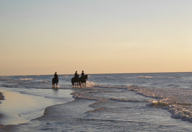 konie i morze