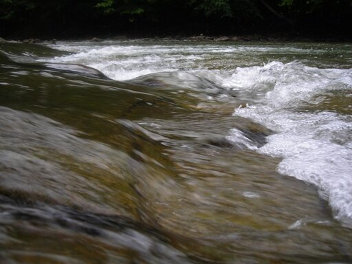 Rzeka Solinka w Bieszczadach