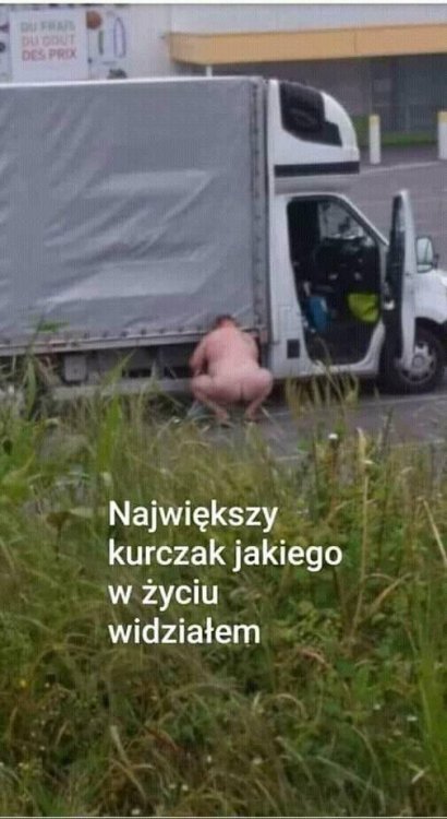 kurczak.thumb.jpg.6aa8699c6a18c977eaae44