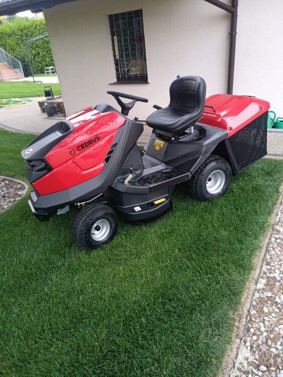 cedrusb.thumb.jpg.dbc6cfdee3bdb18d129479