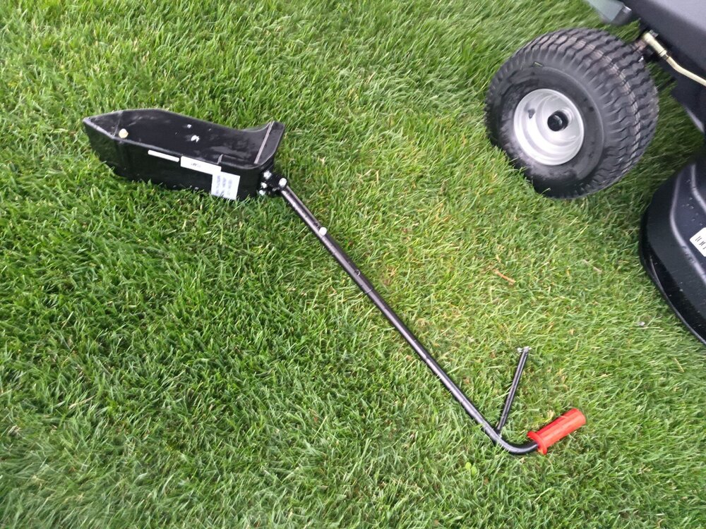 cedruswkadka.thumb.jpg.8ff418cb3cb73053b